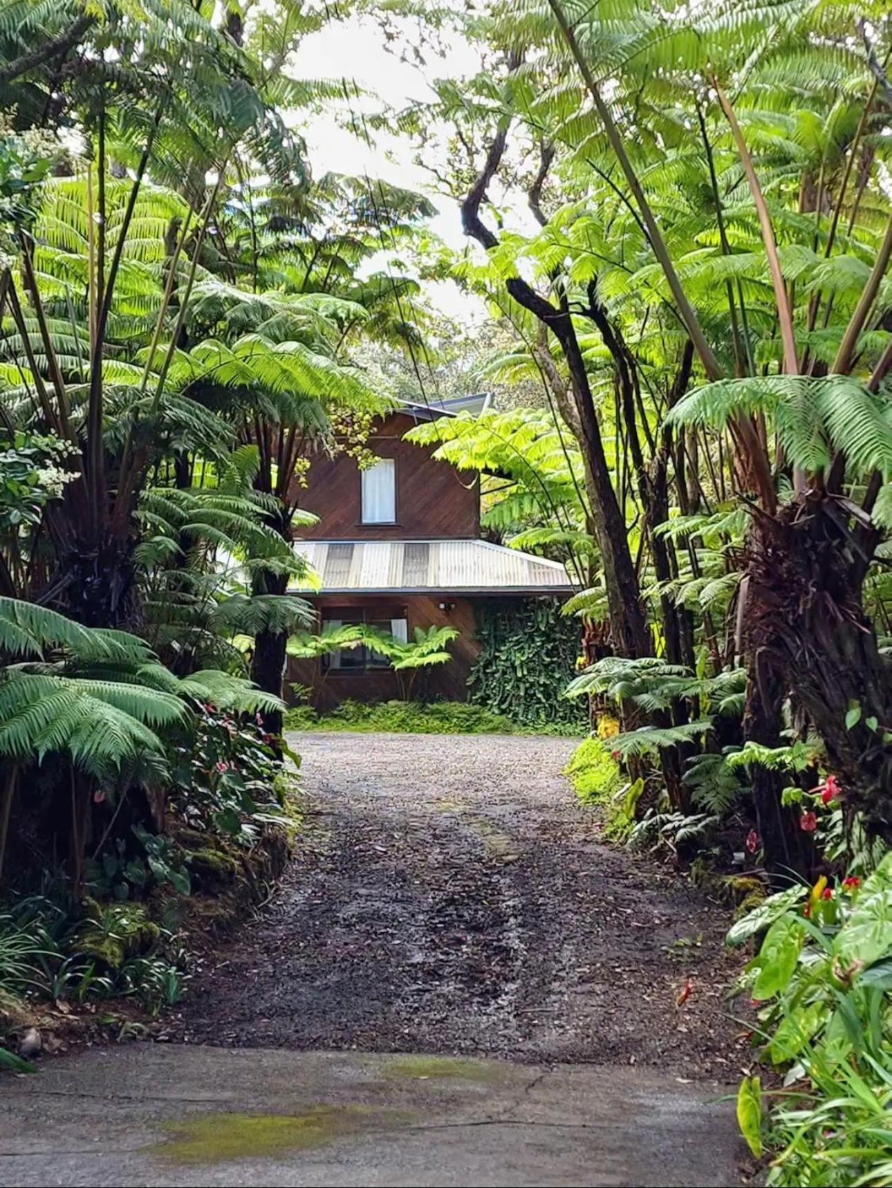 The Pacifica Inn Volcano Eksteriør billede