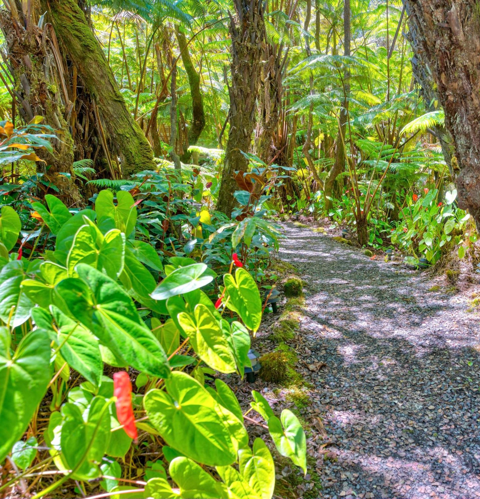The Pacifica Inn Volcano Eksteriør billede